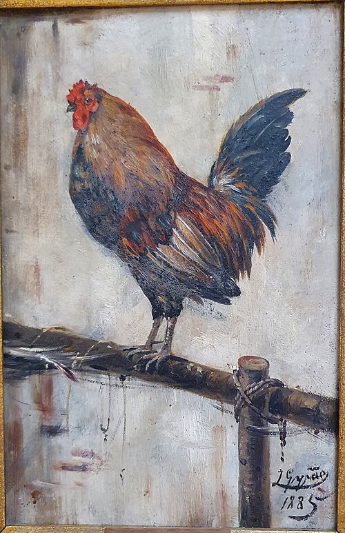 Um galo, 1885, José Moura Girão