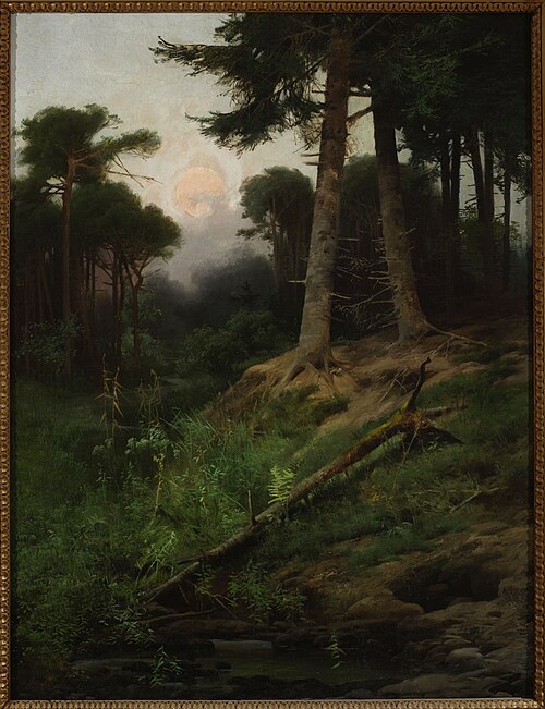 Forest landscape at sunrise, , Tadeusz Popiel