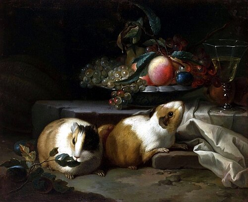 Nature morte avec des cochons d'Inde., 1650, Teodor Lubieniecki