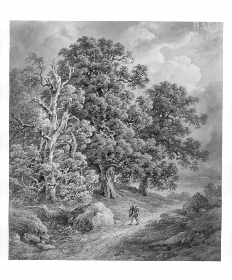 Eichen bei aufziehendem Gewitter, 1871, Josef Kriehuber