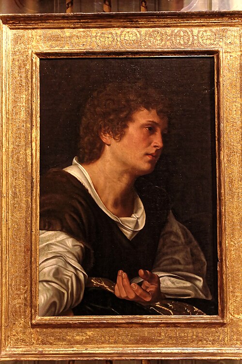 Busto di giovane, , Giovanni Gerolamo Savoldo