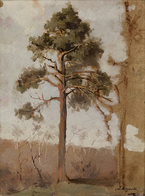 Pines at Połąga, 1908, Leon Wyczółkowski