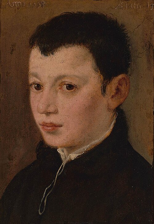 Portrait of a boy, 1558, Paolo Veronese