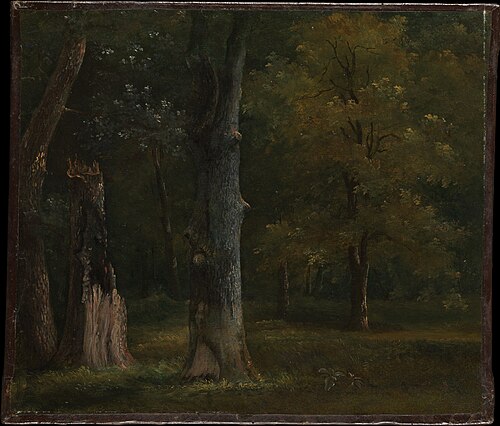 Trees in the Bois de Boulogne, Paris, 1812, Achille Etna Michallon