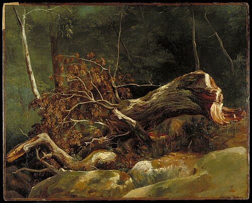 The Fallen Branch, Fontainebleau, 1816, Achille Etna Michallon