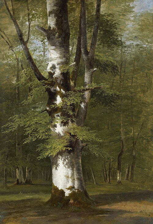 A Study of a Tree, 1819, Achille Etna Michallon