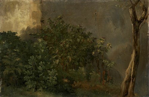 Étude de plantes, 1812, Achille Etna Michallon