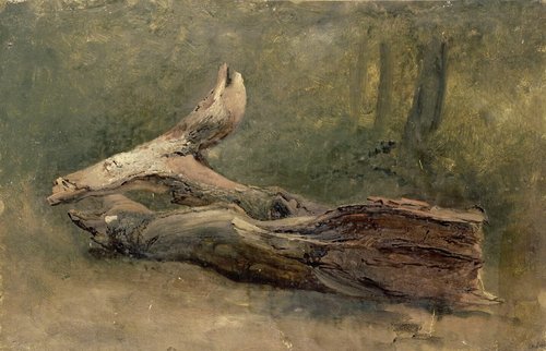 Étude d'arbre couché, 1812, Achille Etna Michallon