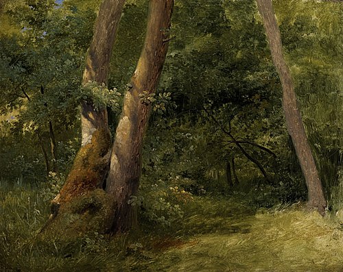 Sous-bois, , Achille Etna Michallon