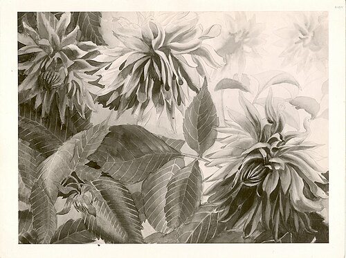 Blumenbild, Dahlien, 1922, Rudolf Haus