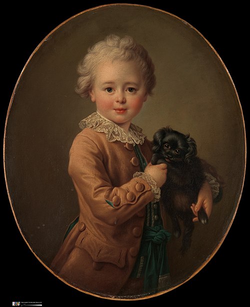 Boy with a Black Spaniel, 1761, François-Hubert Drouais