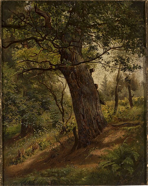 Study of a tree, 1861, Wilhelm Peter Bayer