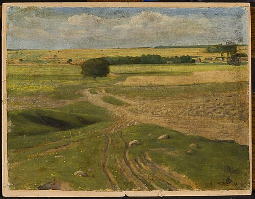 Landscape of fields, 1899, Leon Szpądrowski
