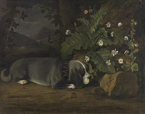 Hundeporträt, , Johann Jacob Marchand