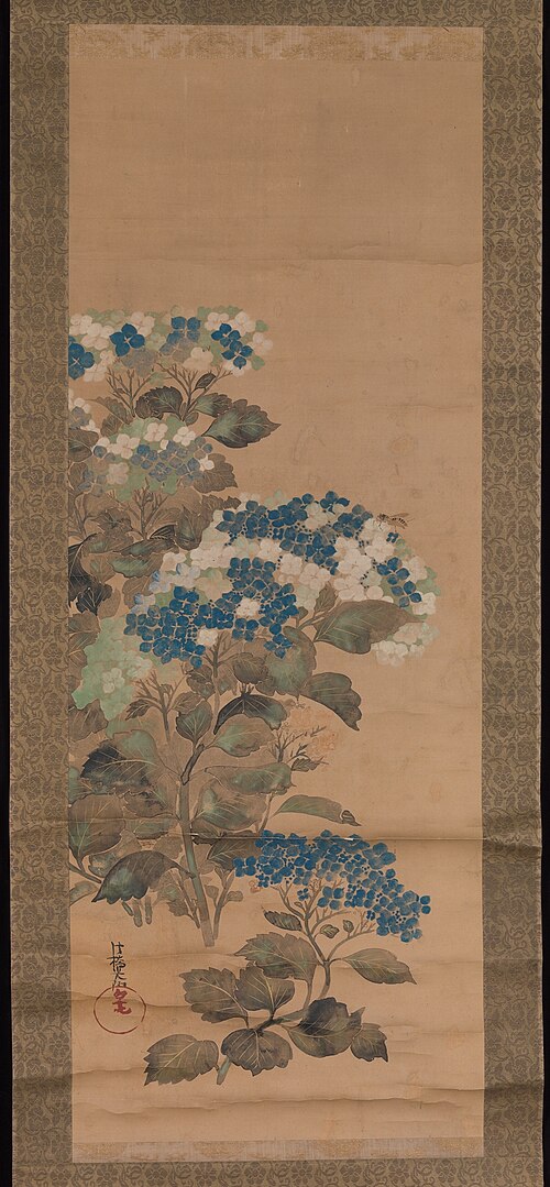 Hydrangeas, 1708, Ogata Kōrin