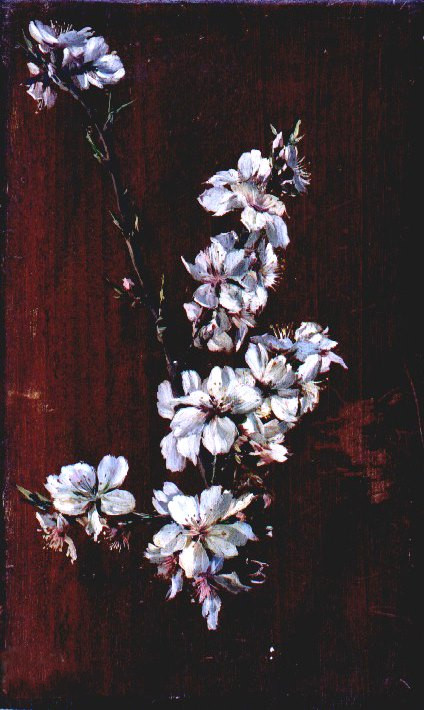 Estudio de flores de almendro, 1870, Casto Plasencia y Maestro