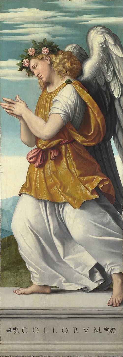 An Adoring Angel, 1540, Alessandro Bonvicino