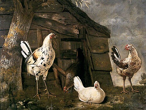 Poultry, , Govert Dircksz Camphuysen