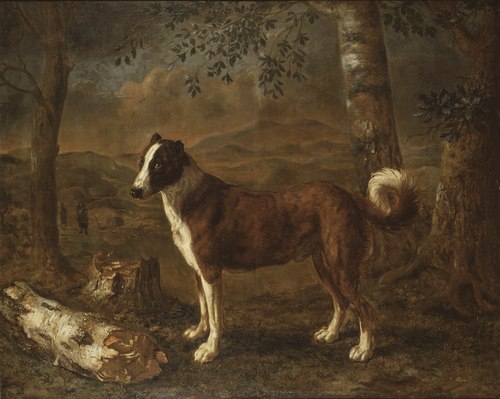 Dog and a Birch Log, 1651, Govert Dircksz Camphuysen