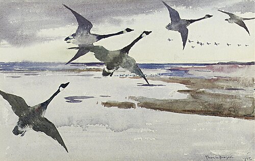 Canadian Geese, 1895, Frank Weston Benson
