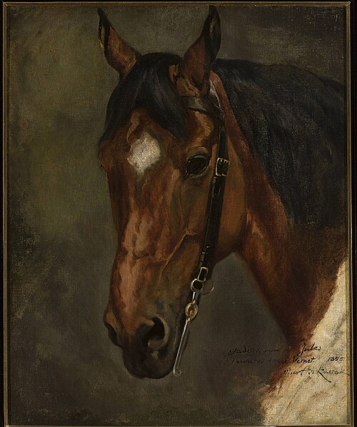 Horse's head, 1855, Juliusz Kossak