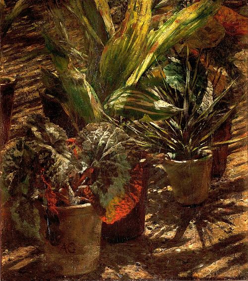Les Bégonias., 1878, Aleksander Gierymski