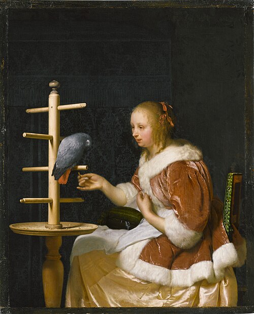 Femme au perroquet, 1663, Frans van Mieris l'Ancien
