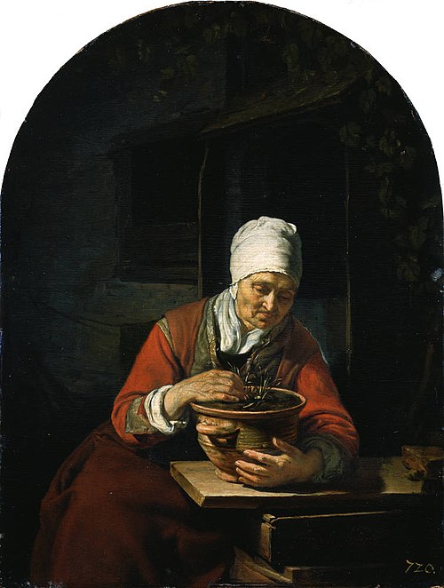 Old Woman with a Flower Pot, 1653, Frans van Mieris l'Ancien