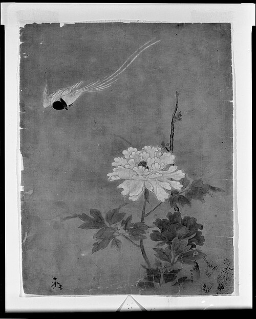 Flowering Peonies and Descending Bird, , Kanō Tan'yū