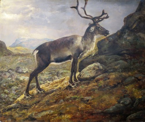 Reindeer, 1850, Johann Siegwald Dahl