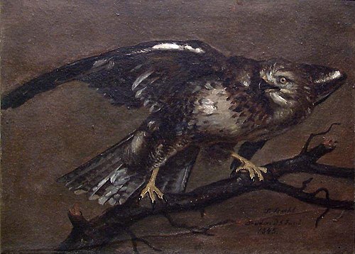 A Vulture, 1845, Johann Siegwald Dahl