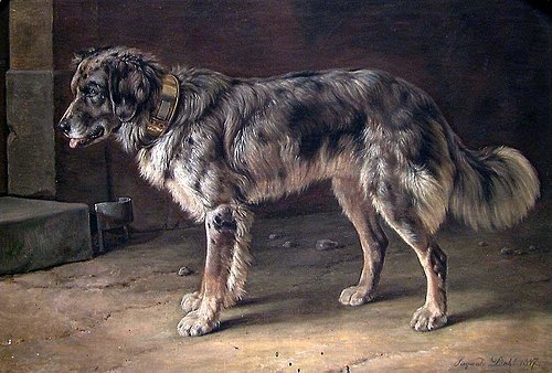 A Dog, 1847, Johann Siegwald Dahl