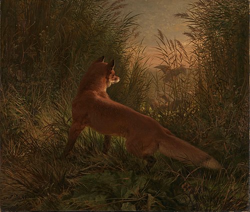 A Fox, 1868, Johann Siegwald Dahl