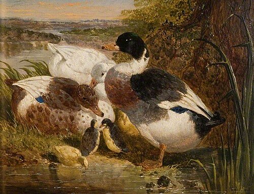 Ducks and Ducklings in a Landscape, 1850, John Frederick Herring junior
