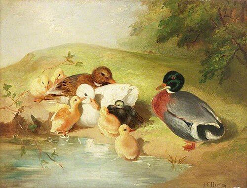 Ducks and Ducklings, , John Frederick Herring junior