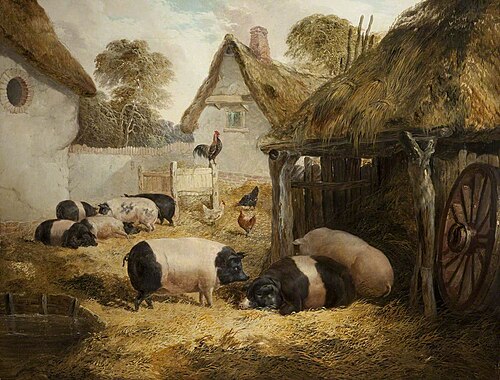 Farmyard with Saddlebacks, , John Frederick Herring junior