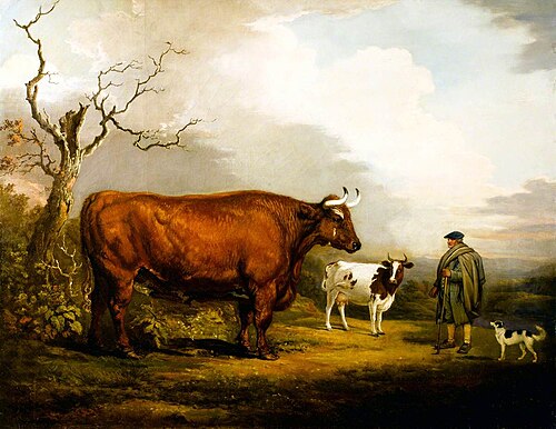 The Spottiswoode Ox, , Alexander Nasmyth