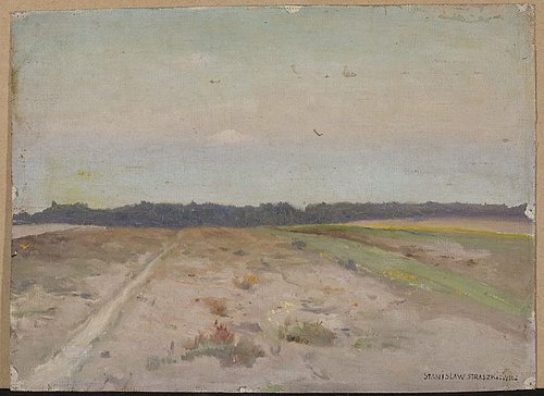 Field landscape, , Stanisław Straszkiewicz