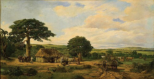 Paysage, , Federico Amérigo Rouviere