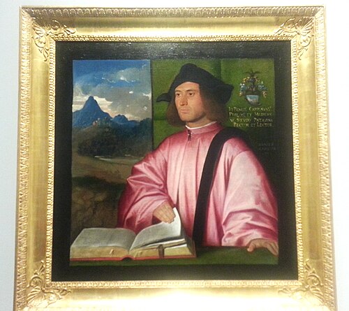 Porträt von Giovanni Benedetto Caravaggi, 1520, Giovanni Cariani