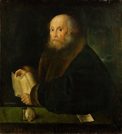 Portrait of a Patrician from Nuremberg, 1536, Giovanni Cariani