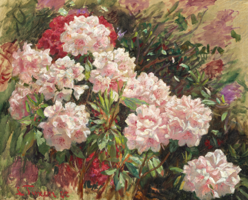 Flowering rhododendrons in Tuxen's garden in Skagen, 1911, Laurits Tuxen