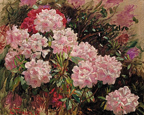 Pink rhododendron in Tuxen's garden in Skagen., 1914, Laurits Tuxen