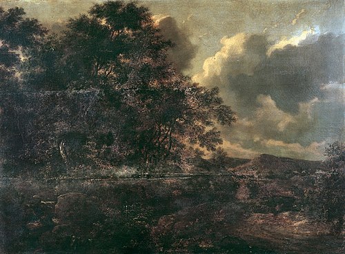 Wooded Landscape, 1655, Adam Pynacker