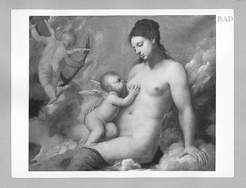 Venus, 1630, Pietro Liberi