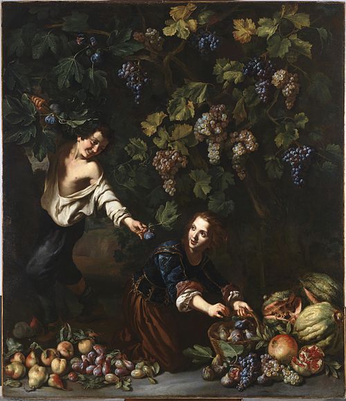 Youths picking Fruit, 1640, Michelangelo Cerquozzi