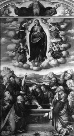 Assumption of Mary, 1524, Marco d'Oggiono
