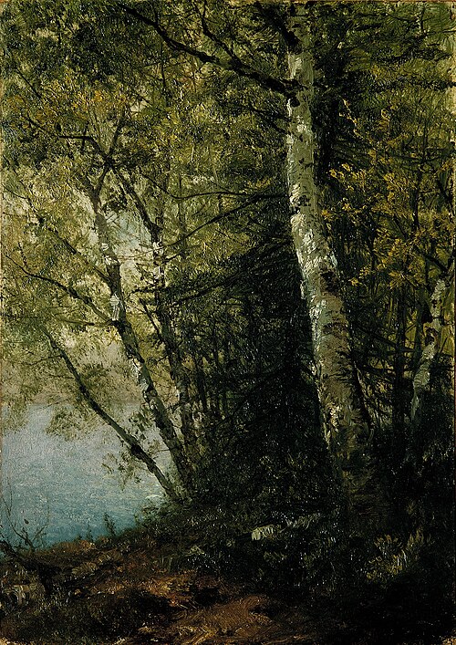 Study of Beeches, 1872, John Frederick Kensett