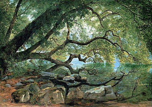 An Ilex Tree on Lake Albano, Italy, 1846, John Frederick Kensett