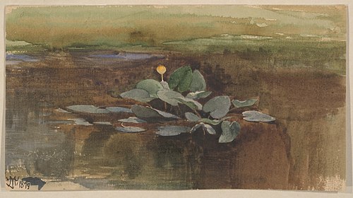 Study of a Water Lotus, 1879, Thomas Moran